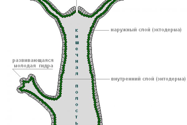 Кракен тор kr2web in