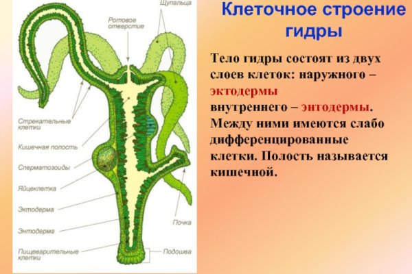 Кракен личный кабинет