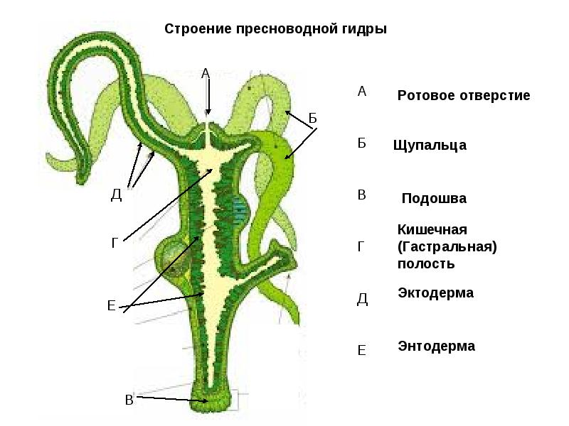 Кракен наркоз магазин